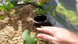 Wicking bed how to.. A self watering garden bed..