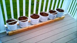 Self watering gutter system with aquaponics