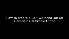 How to Create a Self Watering Bucket Garden