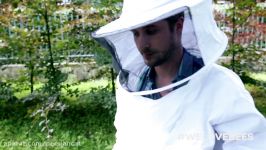 Die Zuckerwasser Bienen  #WeLoveBees  Galileo  ProSieben