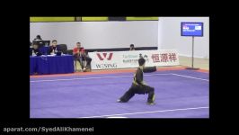 2nd World Taijiquan Championships 2016