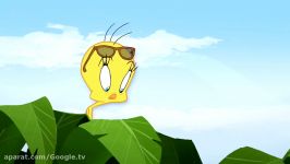 Yellow Bird  The Looney Tunes Show  Cartoon World