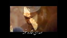 نماهنگی برای ترانه امام رضا حامد زمانی ارسالی مدینه منوره