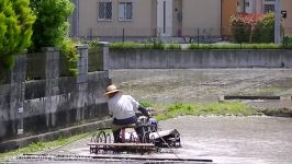 Prepping a rice paddy with a tractor.