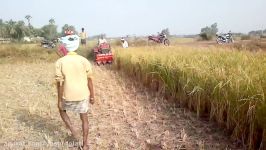 Mahindra Yuvraj with Reaper Rice