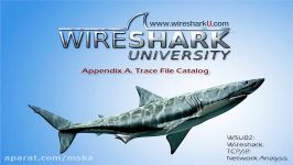 WireShark University Training 14 Trace File Catalog