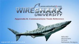 WireShark University Training 15 RFCS