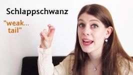 Funny GERMAN INSULTS with translations