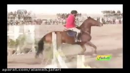 گزارش مسابقات پرش اسب رفسنجان در شبکه کرمان