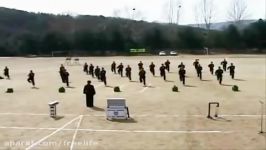 South Korean Special Forces  Taekwondo WTF demonstration