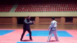 Dont Mess With Taekwondo Fighter Ex US Army Kicked In Face 