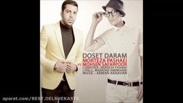 Mohsen Safarpoor Ft Morteza Pashaei 2015  Dooset Daram محسن صفرپور مرتضی