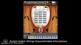 بررسی تکنیک های وی اس تی ویولن Aviram Arabic Strings