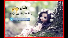 آموزش پخت سریع آسان خوراک خوشمزه لذیذ قارچ دلمه ای