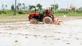 Tractors Mudding in the rice fields Cambodia