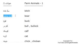 Animals names in Persian part 1 Persian For Beginners