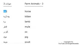 Animals names in Persian part 3 Persian For Beginners