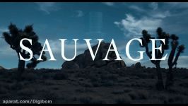 Dior Sauvage – عطر ادکلن دیور ساوج کریستین دیور ساواج