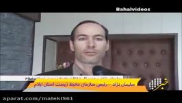 عامل شکار یک قلّاده پلنگ ایرانی در ایلام دستگیر شد به خاطر لذت این پلنگ را