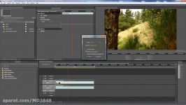 Premiere Pro  Using SpeedDuration and Time Remapping to change clip speed