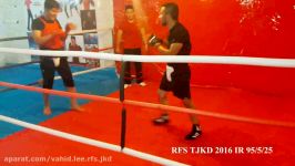 Free Fight RFS JKD