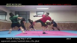 Trining Punch JKD part five in ten