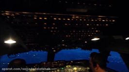 Landing view from flight deck onboard Iran Air B747 200 Classic