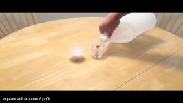 Rubber EggChicken Bone in Vinegar Science Experiment