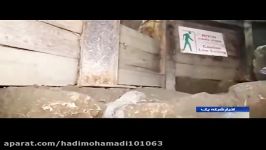 حفاری اسرائیل در زیر مسجد الاقصی برای یافتن معبد سلیمان