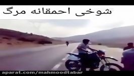 کشتن بهترین دوستش یک شوخی احمقانه