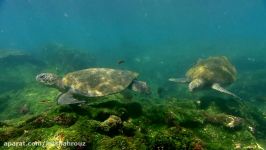 مستند گالاپاگوس Galapagos دوبله فارسی قسمت 3