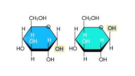 Estimation of Blood Glucose by Glucose Oxidase Method  Amrita University