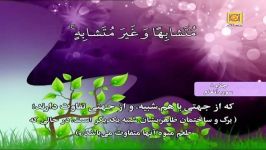 تندخوانی جزء8قرآن کریم بانوای زیبای استاد احمددبّاغ