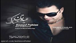 Hamed Pahlan  Remix Shadi ریمیکس فوق العاده شاد حامد پهلان  ریمیکس شادی