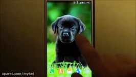 Cute puppies  beautiful free live wallpaper for androi