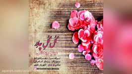 Meysam Reyhani – Gool Goole Chador