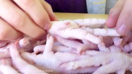 Chicken Feet فرآوری پنجه مرغ صادراتی به چین Rasti.ir