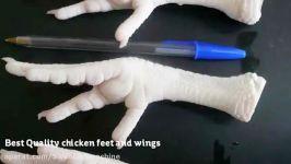 Top Quality Grade A++ Frozen Chicken feet for Sale