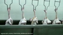 Chicken feet processing on overhead line