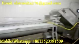 automatic chicken feet peeling production line