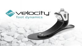 پنجه کربنی Velocity