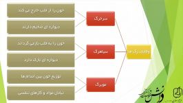 علوم هفتم دستگاه گردش مواد