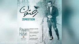 آهنگ جدید Payam Hasiri – Zemestoon