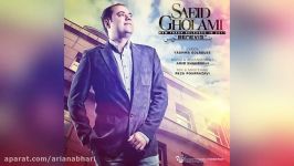 Saeid Gholami – Benevis