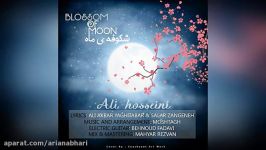 آهنگ جدید 2017  Ali Hosseini