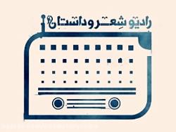 طاهره صفارزاده  انیستیتو گوته