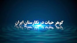 گوهر حیات در نگارستان ایران ویژه دهه فجر95 1