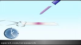 Gram Stain Animation