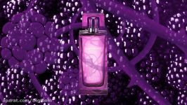 Lalique Amethyst – عطر اسانس ادکلنی لالیک آمیتیس