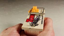 Make a Mousetrap Gun That Shoots